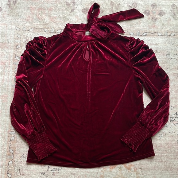 Burgundy Velour long sleeved top, NWOT, size L - Picture 1 of 10